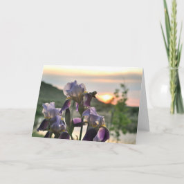 Irises en zonneblanco wenskaart kaart
