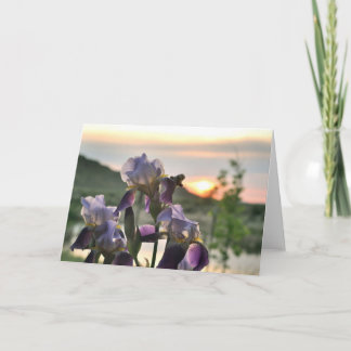Irises en zonneblanco wenskaart kaart