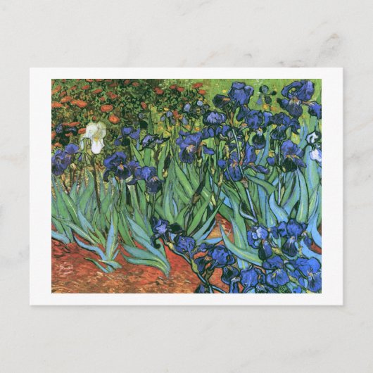 Irises (F608) Van Gogh Fine Art Briefkaart (Voorkant)