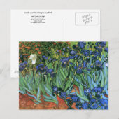 Irises (F608) Van Gogh Fine Art Briefkaart (Voorkant / Achterkant)