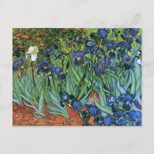 Irises (F608) Van Gogh Fine Art Briefkaart
