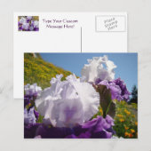 Irises Flower meadow postkaart Paars White Iris (Voorkant / Achterkant)