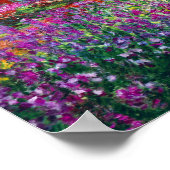 Irises in de tuin van Monet Poster (Hoek)