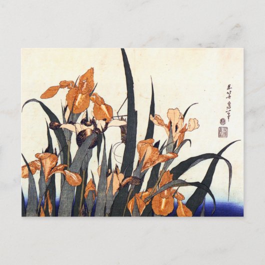 Irises, Katsushika Hokusai Briefkaart (Voorkant)