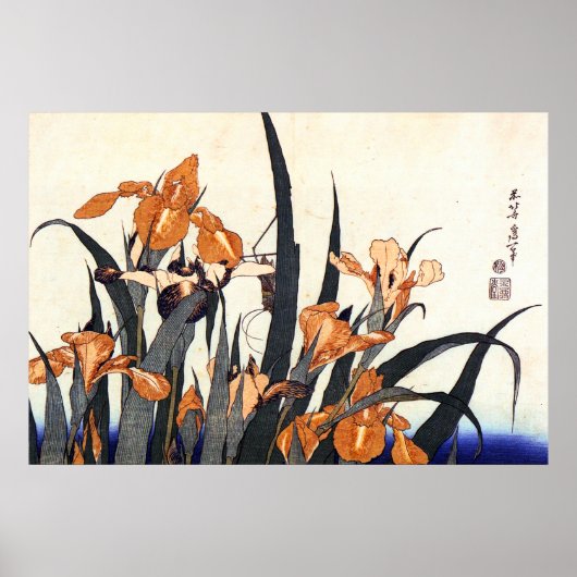 Irises, Katsushika Hokusai Poster (Voorkant)