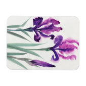 Irises Magneet (Horizontaal)