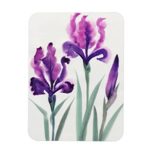 Irises Magneet