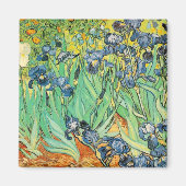 Irises Magneet (Voorkant)