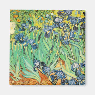 Irises Magneet