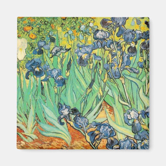 Irises Magneet (Voorkant)