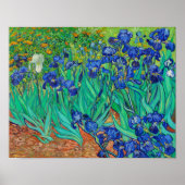 Irises Poster (Voorkant)