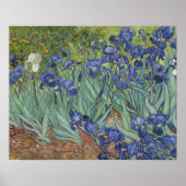 Irises Poster (Voorkant)