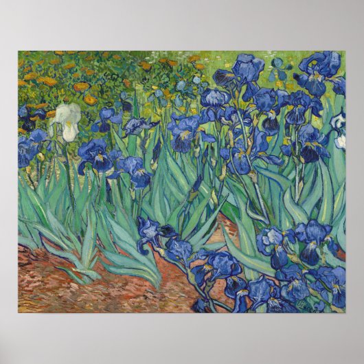 Irises Poster (Voorkant)