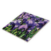Irises Princess Royal Smith Tegeltje (Zijkant)