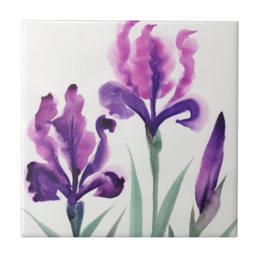 Irises Tegeltje (Voorkant)