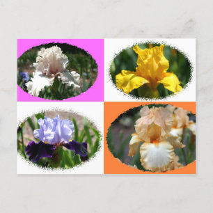 Irises van de botanische tuinen van Missouri Briefkaart