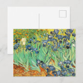 Irises - Van Gogh - c1889 Briefkaart (Voorkant / Achterkant)