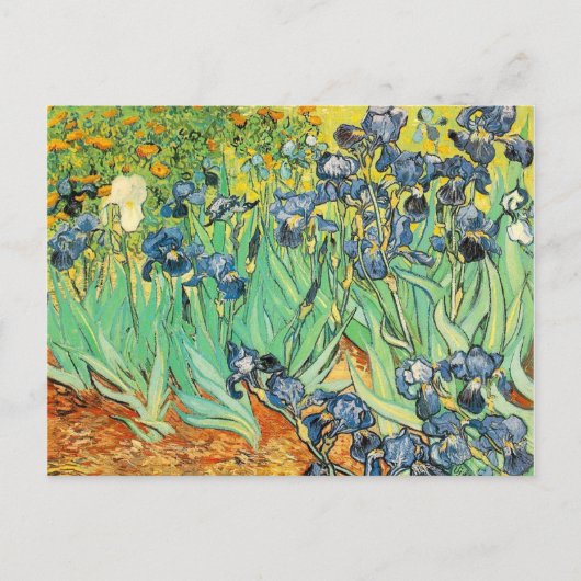 Irises - Van Gogh - c1889 Briefkaart (Voorkant)