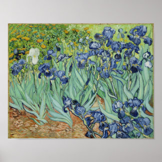 Irises - Van Gogh Print