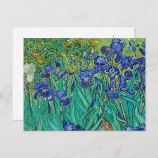 Irises van het Briefkaart Vincent van Gogh (Voorkant / Achterkant)