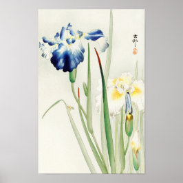Irises van Ohara Koson Poster