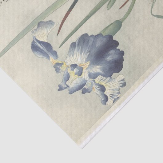 Irises van Ohara Koson Tissuepapier (Detail)