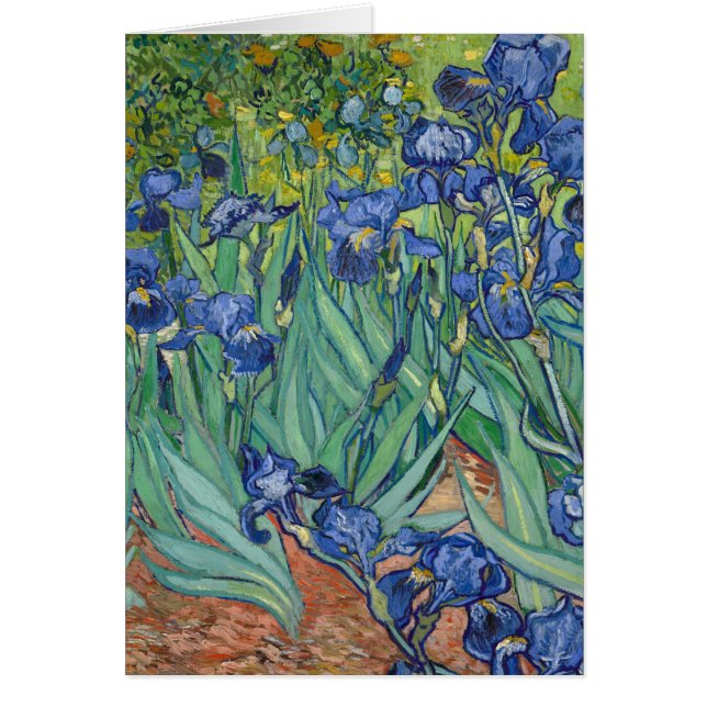 Irises van Van Gogh (Voorkant)