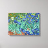 Irises van Van Gogh Canvas Afdruk (Voorkant)