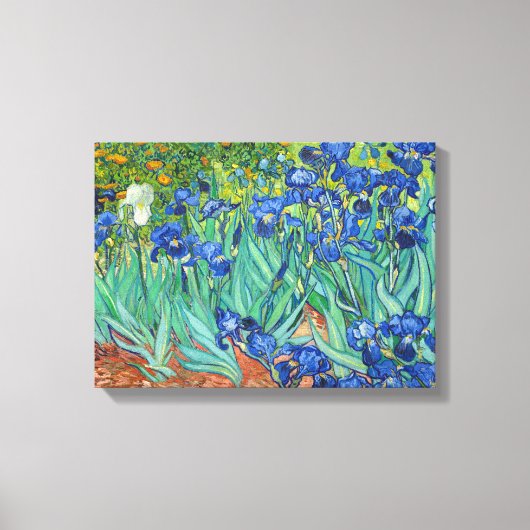 Irises van Van Gogh Canvas Afdruk (Voorkant)