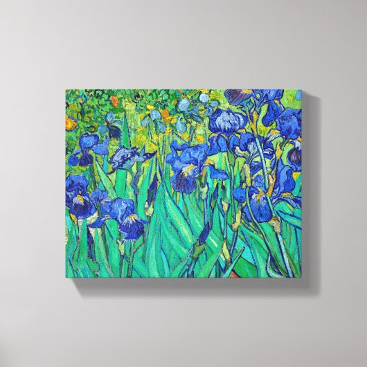 Irises van Van Gogh Canvas Afdruk (Voorkant)