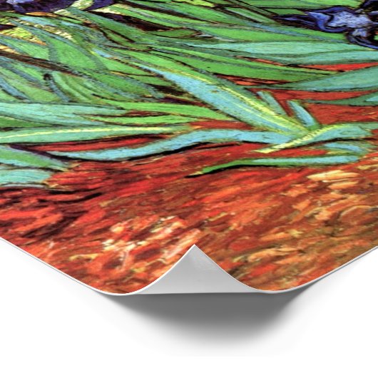 Irises van Van Gogh Fine Art Poster Print (Hoek)