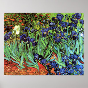Irises van Van Gogh Fine Art Poster Print