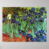 Irises van Van Gogh Fine Art Poster Print (Voorkant)