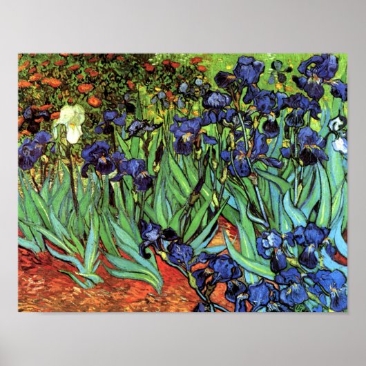 Irises van Van Gogh Fine Art Poster Print (Voorkant)