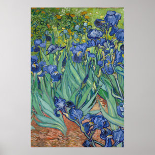 Irises van Van Gogh Poster