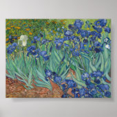 Irises van Van Gogh Poster (Voorkant)