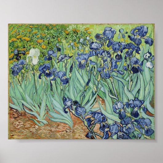 Irises van Van Gogh Poster (Voorkant)