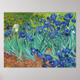 Irises van Van Gogh Poster