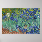 Irises van Van Gogh Poster (Voorkant)