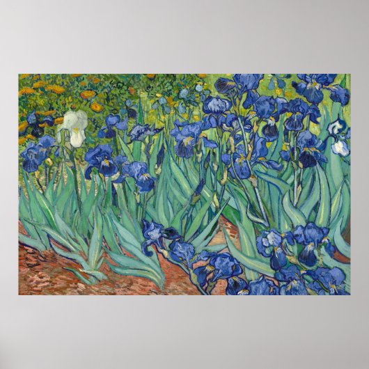 Irises van Van Gogh Poster (Voorkant)