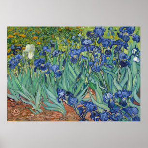 Irises van Van Gogh Poster Print