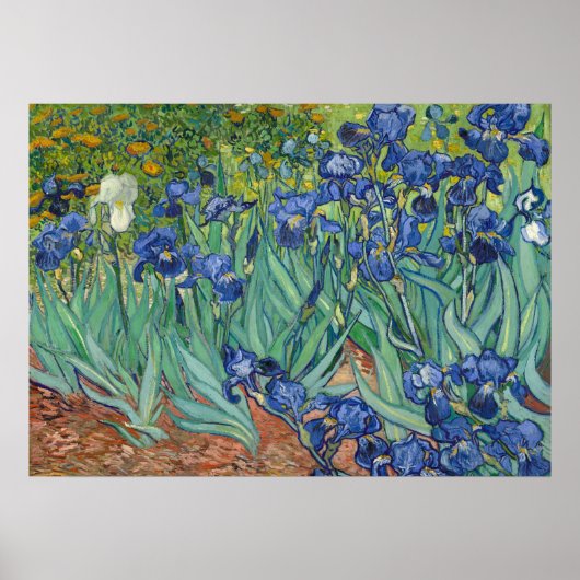 Irises van Van Gogh Poster Print (Voorkant)