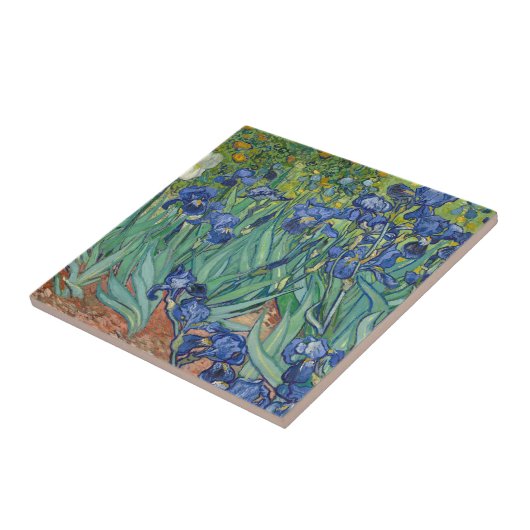 Irises van Van Gogh Tegeltje (Zijkant)