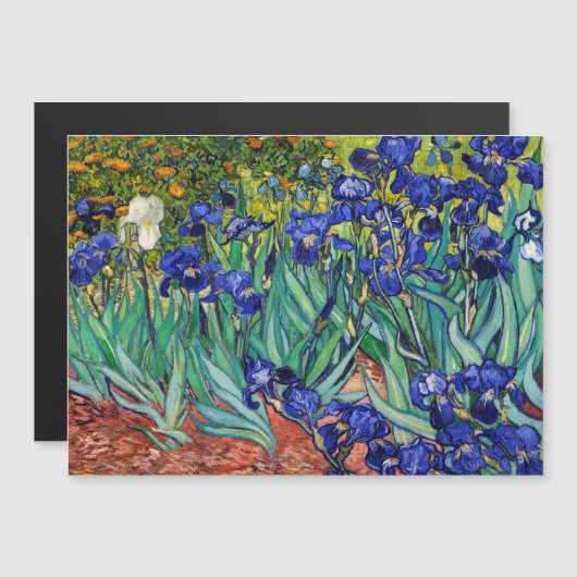 Irises van Vincent van Gogh (Voorkant / Achterkant)