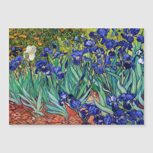 Irises van Vincent van Gogh (Voorkant)