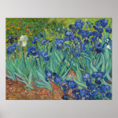 Irises van Vincent Van Gogh 1889 Poster (Voorkant)