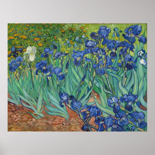 Irises van Vincent Van Gogh 1889 Poster (Voorkant)