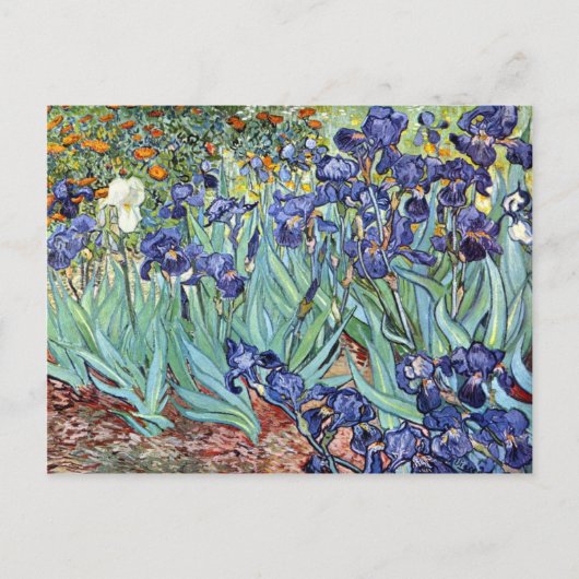 Irises van Vincent van Gogh 1898 Briefkaart (Voorkant)