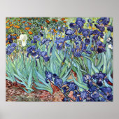 Irises van Vincent van Gogh 1898 Poster (Voorkant)