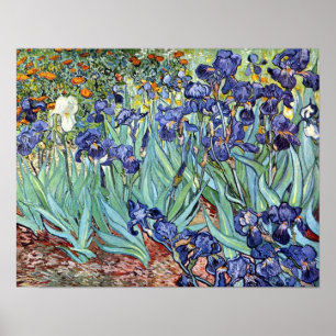Irises van Vincent van Gogh 1898 Poster